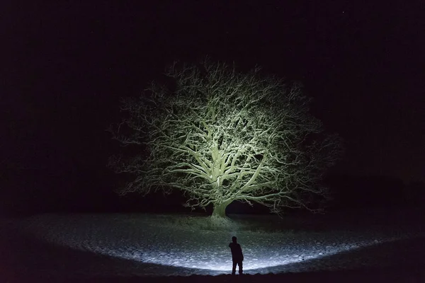 Man Die Buitenshuis Nacht Boom Steegje Schijnt Met Zaklamp Mooie — Stockfoto