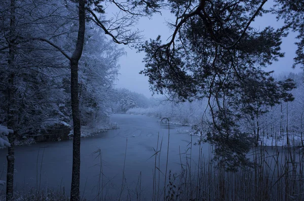 Wunderschöne Natur Und Landschaftsaufnahme Des Blauen Abenddämmerungsabends Katrineholm Schweden Skandinavien — Stockfoto