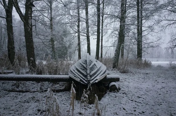 Mooie Details Foto Van Frosty Besneeuwde Boot Het Land Zweden — Stockfoto