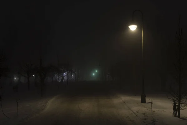 스웨덴 스칸디나비아 유럽에서 밤입니다 공기에서 안개와 어두운 저녁의 추상적인 평화로운 — 스톡 사진