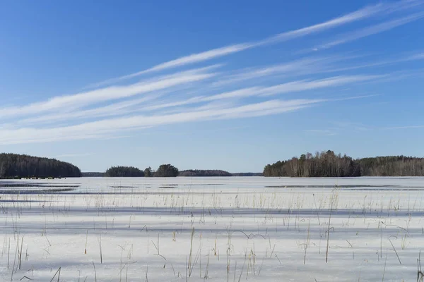 Bella Foto Naturalistica Paesaggistica Della Soleggiata Giornata Primaverile Svezia Scandinavia — Foto Stock