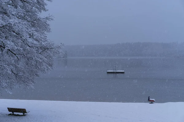 Kış manzarası, göl - Katrineholm İsveç 