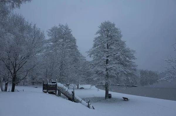 Güzel doğa ve manzara fotoğraf mavi akşam Katrineholm İsveç İskandinavya. Orman ve göl kar ve buz ile.
