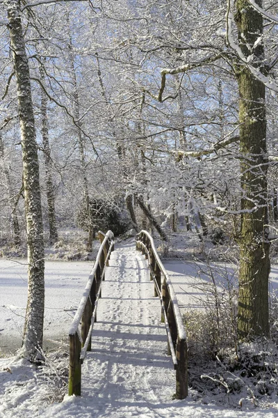 Güzel doğa ve manzara fotoğraf İsveçli kış orman ve ağaçlar. Güzel soğuk bir gün ormanda. Dalları ile kar, buz ve tahta köprüden güzel ayrıntıları.