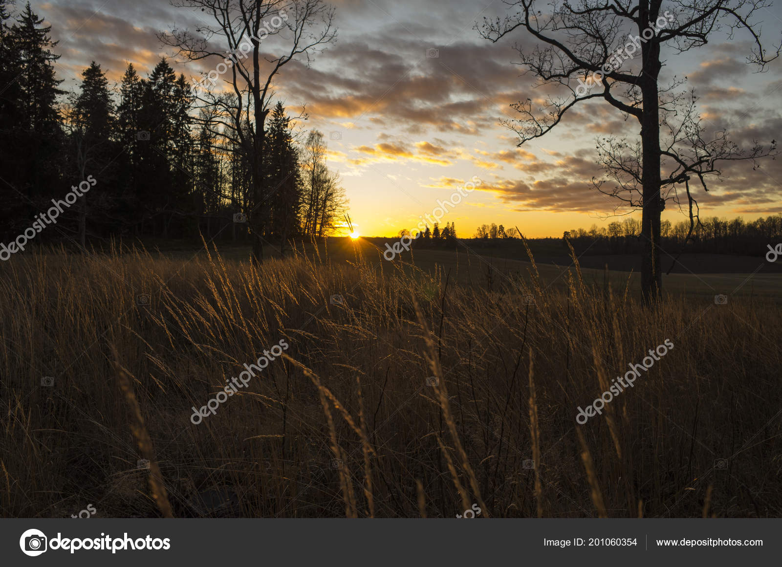 美丽的自然和风景照片的日落在katrineholm 良好的户外图像与树木天空和田野和平的12月晚上 图库照片 C Joachimbago Gmail Com 美丽的自然和风景照片的日落在katrineholm 良好的户外图像与树木天空和田野和平的12月晚上 图库照片 C Joachimbago Gmail Com