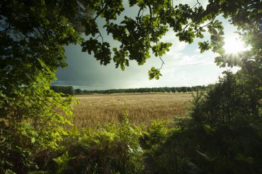 İsveçli doğa ve manzara Katrineholm şehir çevresindeki