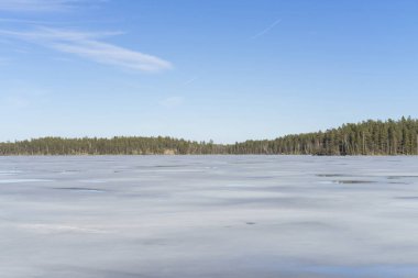 Güneşli bahar günü İsveç İskandinavya Avrupa'nın güzel doğa ve manzara fotoğraf. Buz Gölü, ağaçlar ve mavi gökyüzü güzel açık havada resim
