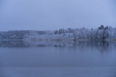 Güzel doğa ve manzara fotoğraf mavi akşam Katrineholm İsveç İskandinavya. Orman ve göl kar ve buz ile.