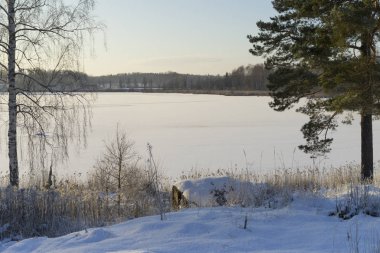 Kış manzarası, göl - Katrineholm İsveç 
