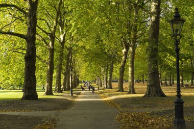 Green Park Londra İngiltere, 16 Ekim 2017. İnsanlar güzel sonbahar günü parkta yürürken, insanlar