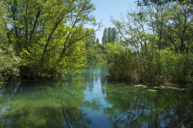 Milli Park Krka Hırvatistan Avrupa. Güzel güneşli yaz günü. Güzel açık havada doğa ve manzara fotoğrafı. Göller, nehirler ve şelaleler