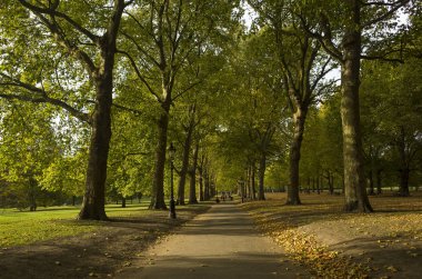 Green Park Londra Büyük Britanya