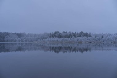 Güzel doğa ve manzara fotoğraf mavi akşam Katrineholm İsveç İskandinavya. Orman ve göl kar ve buz ile.