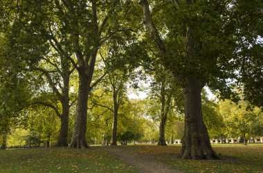 Green Park Londra Büyük Britanya