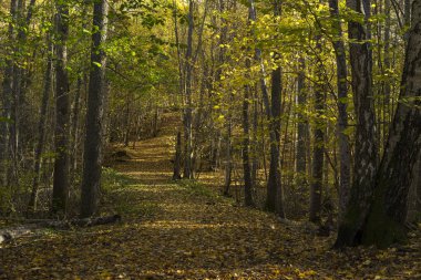 Sibenik, Hırvatistan, 2018-06-02, Milli Park Krka, güzel güneşli bir gün 