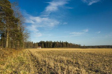Çim alan İsveç İskandinavya. Güzel doğa ve manzara fotoğraf renkli güneşli bahar günü mavi gökyüzü ile. Orman ve ağaç ufuktan. 
