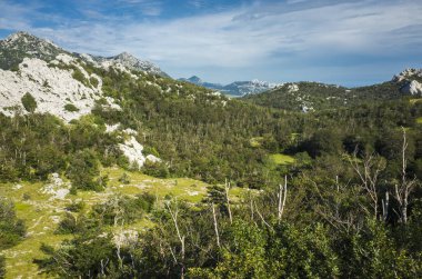 Paklenica Velebit Hırvatistan. Dalmaçya dağlarda güzel doğa ve manzara fotoğraf. 