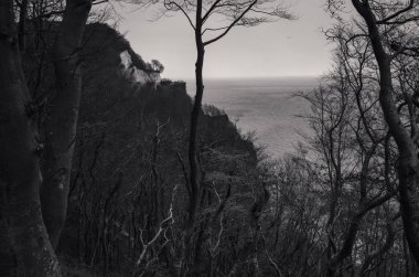 deniz arka planda dağların tek renkli görünümü  