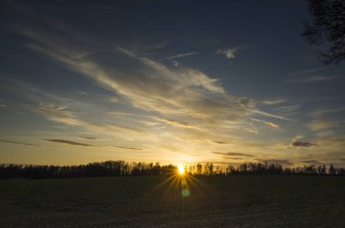 Çim alan İsveç İskandinavya. Güzel doğa ve manzara fotoğraf renkli güneşli bahar günü mavi gökyüzü ile. Orman ve ağaç ufuktan. 