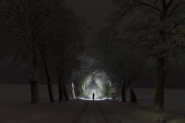 Man Standing Outdoors Night Tree Alley Shining Flashlight Beautiful Dark — Stock Photo, Image