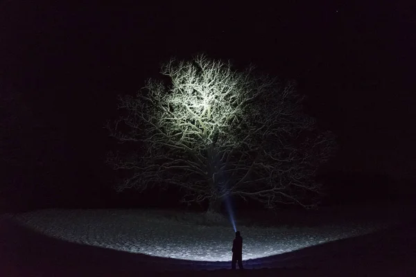 Чоловік Стоїть Відкритому Повітрі Вночі Деревній Алеї Сяє Ліхтариком Прекрасна — стокове фото