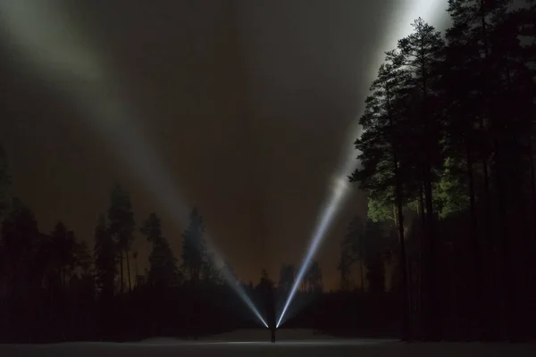 Man Standing Outdoors Night Tree Alley Shining Flashlight Beautiful Dark — Stock Photo, Image