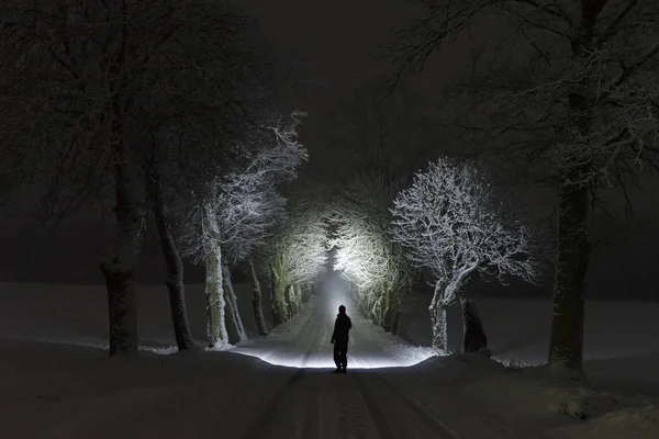 Man Standing Outdoors Night Tree Alley Shining Flashlight Beautiful Dark — Stock Photo, Image