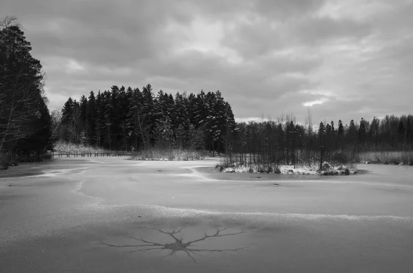 Όμορφη Φωτογραφία Φύσης Και Του Τοπίου Της Λίμνης Σουηδικός Χειμώνας — Φωτογραφία Αρχείου