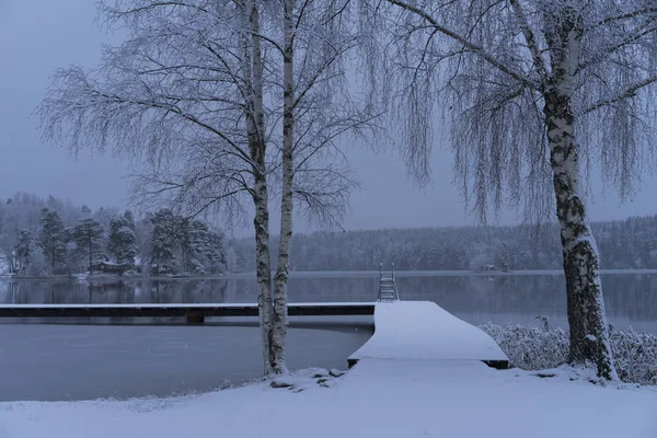 Kış manzarası, göl - Katrineholm İsveç 