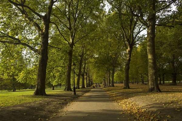 Green Park Londra Gran Bretagna — Foto Stock