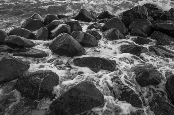 taşlı nehir ile doğa manzara monokrom fotoğraf 