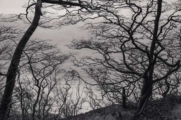 gündüz doğa manzara tek renkli fotoğraf 