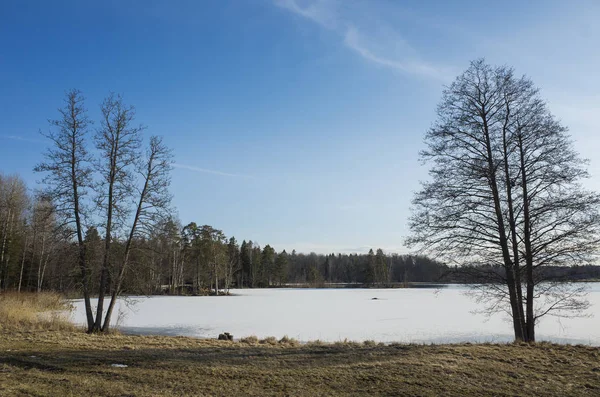 Güneşli bahar günü İsveç İskandinavya Avrupa'nın güzel doğa ve manzara fotoğraf. Buz Gölü, ağaçlar ve mavi gökyüzü güzel açık havada resim