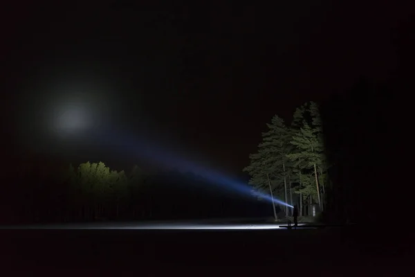 Adam Açık Havada Ağaç Arka Sokakta Feneri Ile Parlayan Geceleri — Stok fotoğraf