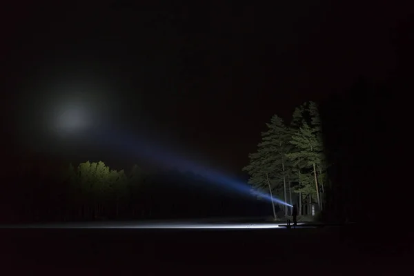 Man Standing Outdoors Night Tree Alley Shining Flashlight Beautiful Dark — Stock Photo, Image