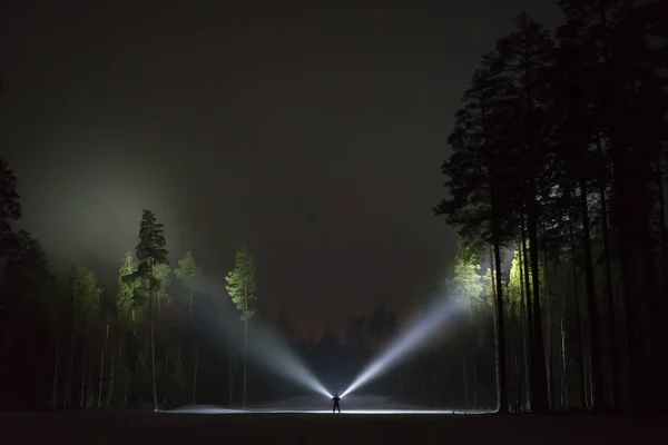 Man Standing Outdoors Night Tree Alley Shining Flashlight Beautiful Dark — Stock Photo, Image