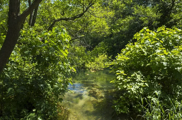 Milli Park Krka Hırvatistan Avrupa. Güzel güneşli yaz gün. 