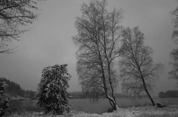 Vacker Natur Och Landskap Foto Vinterdag Sverige Norden Europa — Stockfoto