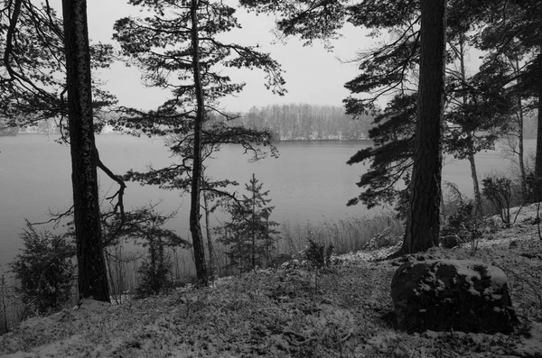 Vacker Natur Och Landskap Foto Vinterdag Sverige Norden Europa — Stockfoto