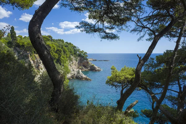 Güzel Adriyatik Denizi Hırvatistan, Europe