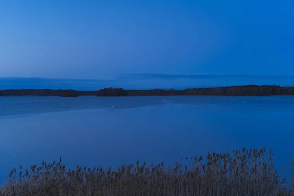 Avond Van Prachtige Natuur Het Lake Zweden Scandinavië Europa — Stockfoto