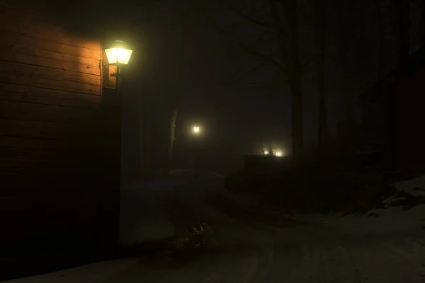 Туманная Ночь Швеции Скандинавская Европа Красивая Мистическая Абстрактная Фотография Тёмного — стоковое фото