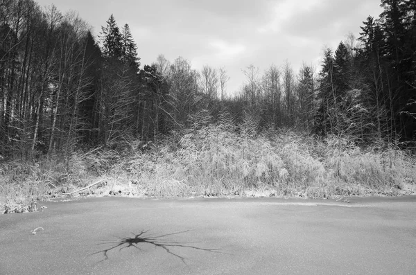 Schöne Natur Und Landschaft Foto Von Schwedischen Winter See Und — Stockfoto