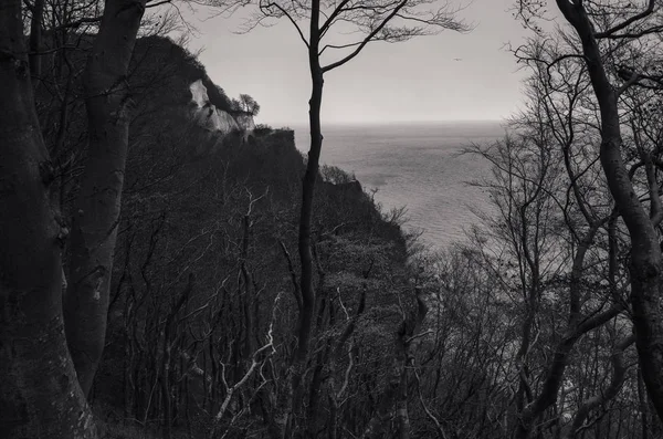 deniz arka planda dağların tek renkli görünümü  