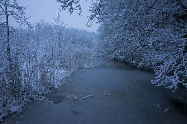 Mooie Natuur Landschap Foto Van Blauwe Schemering Avond Katrineholm Zweden — Stockfoto