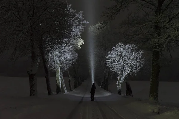 一个人站在户外 在树巷里闪耀着手电筒 美丽的深雪冬夜 — 图库照片
