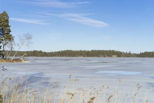 Güneşli bahar günü İsveç İskandinavya Avrupa'nın güzel doğa ve manzara fotoğraf. Buz Gölü, ağaçlar ve mavi gökyüzü güzel açık havada resim