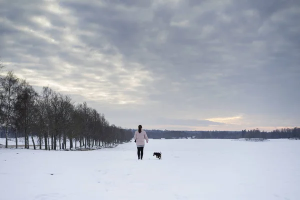 Brunette caucasian Swedish woman walking with dog in winter landscape. Beautiful cold evening at sunset with snow on field and tree alley. Happy photo of puppy and young female