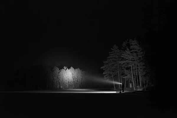 Man Standing Outdoors Night Tree Alley Shining Flashlight Beautiful Dark — Stock Photo, Image