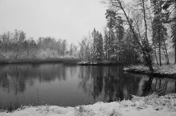 Bella Foto Naturalistica Paesaggistica Della Giornata Invernale Svezia Scandinavia Europa — Foto Stock